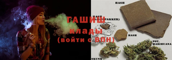 прущие грибы Верхний Тагил