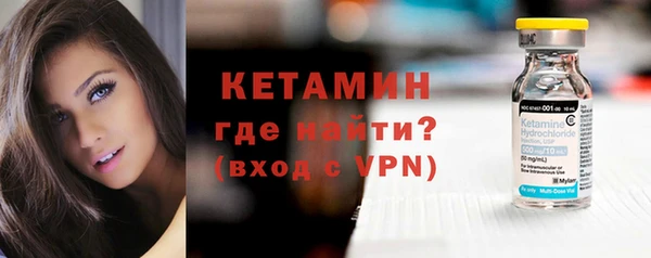 сатива Вяземский