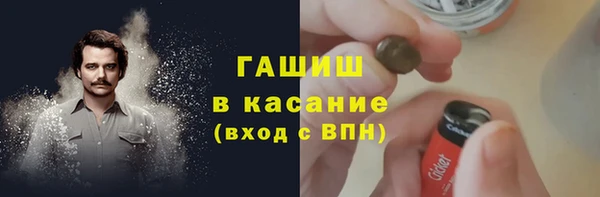 сатива Вяземский