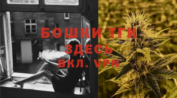сатива Вяземский