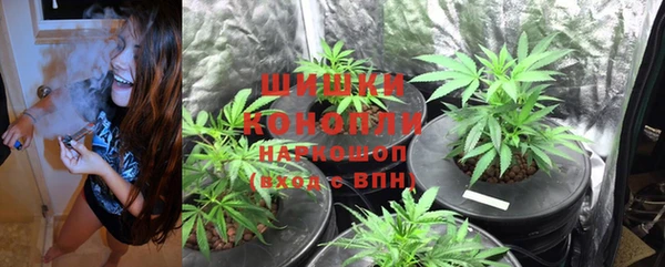 прущие крисы Вязьма