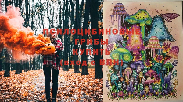 прущие крисы Вязьма