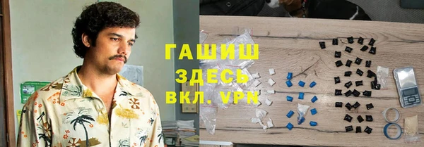 сатива Вяземский